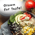 4Sisters Long Grain Organic Brown Rice, 32 oz ebuystt