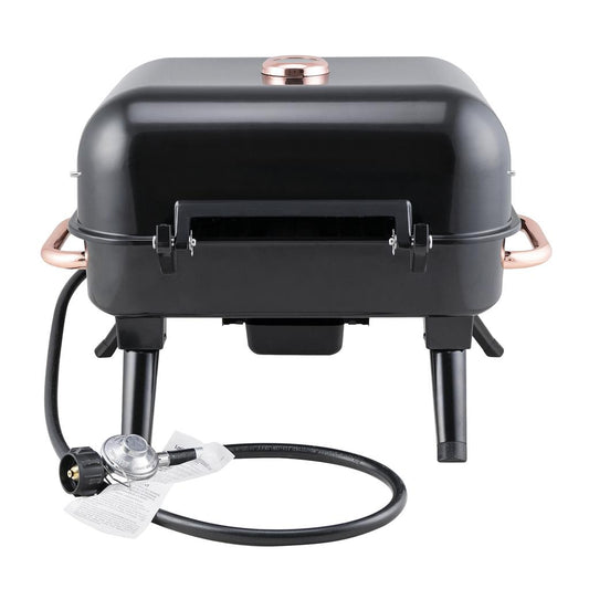 Kenmore 2-Burner Gas Grill ebuystt