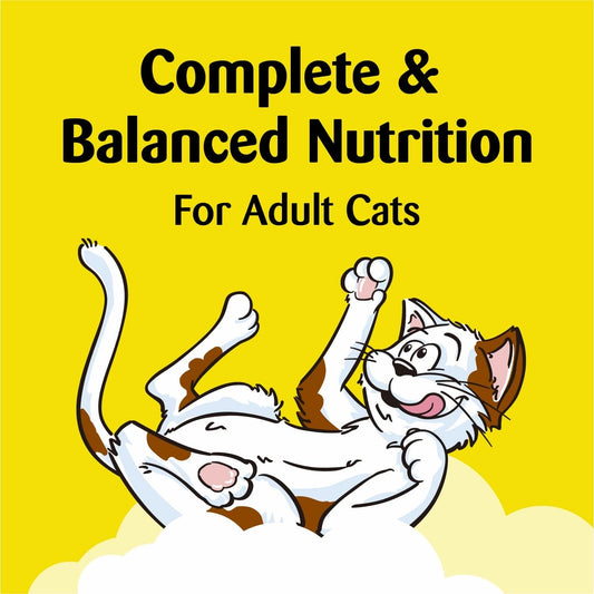 WHISKAS TEMPTATIONS CREAMY DAIRY TREATS FOR CATS 85G - WTCD Pie's Variety Store