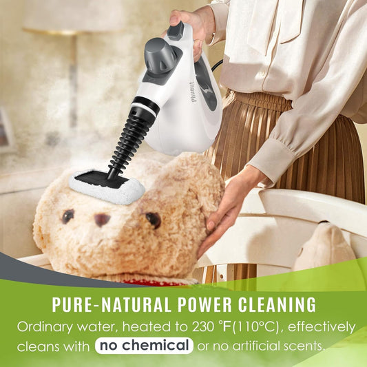 Phueut Pressurized Handheld Multi-Surface Natural Steam Cleaner with 12 pcs Accessories, Multi-Purpose Steamer for Home Use, Steamer for Cleaning Floor, Upholstery, Grout and Car (Grey) Phueut