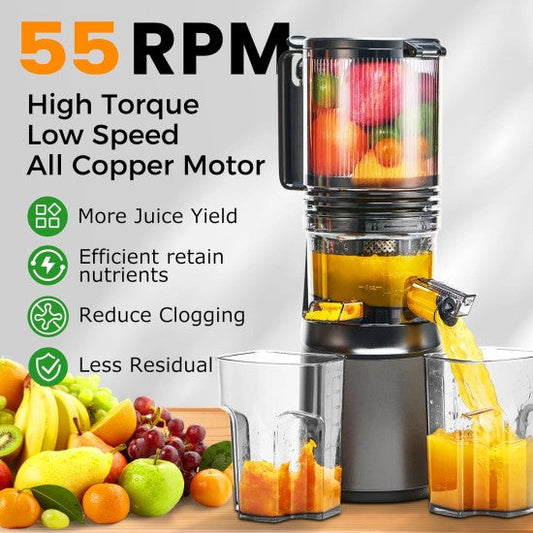 Cold Press Juicer,Slow Masticating Juicer-AMZ-215 ebuystt
