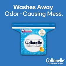 COTTONELLE FLUSHABLE WIPES TRAVEL 14CT - CWT14CT Pie's Variety Store