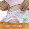 Pampers Easy Ups Training Underwear Girls, Size 4, 2T-3T, 74 ct - 03700076466