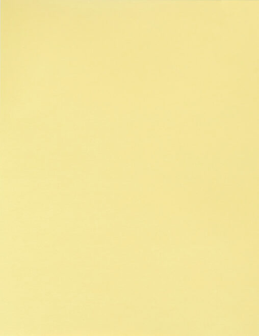 BriCha Bristol Board 180 GSM, Blue (25 Sheets) - 810626012383 Pie's Variety Store