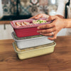 BentGo Food Container Set Holiday Collection 60 Pieces - 496378