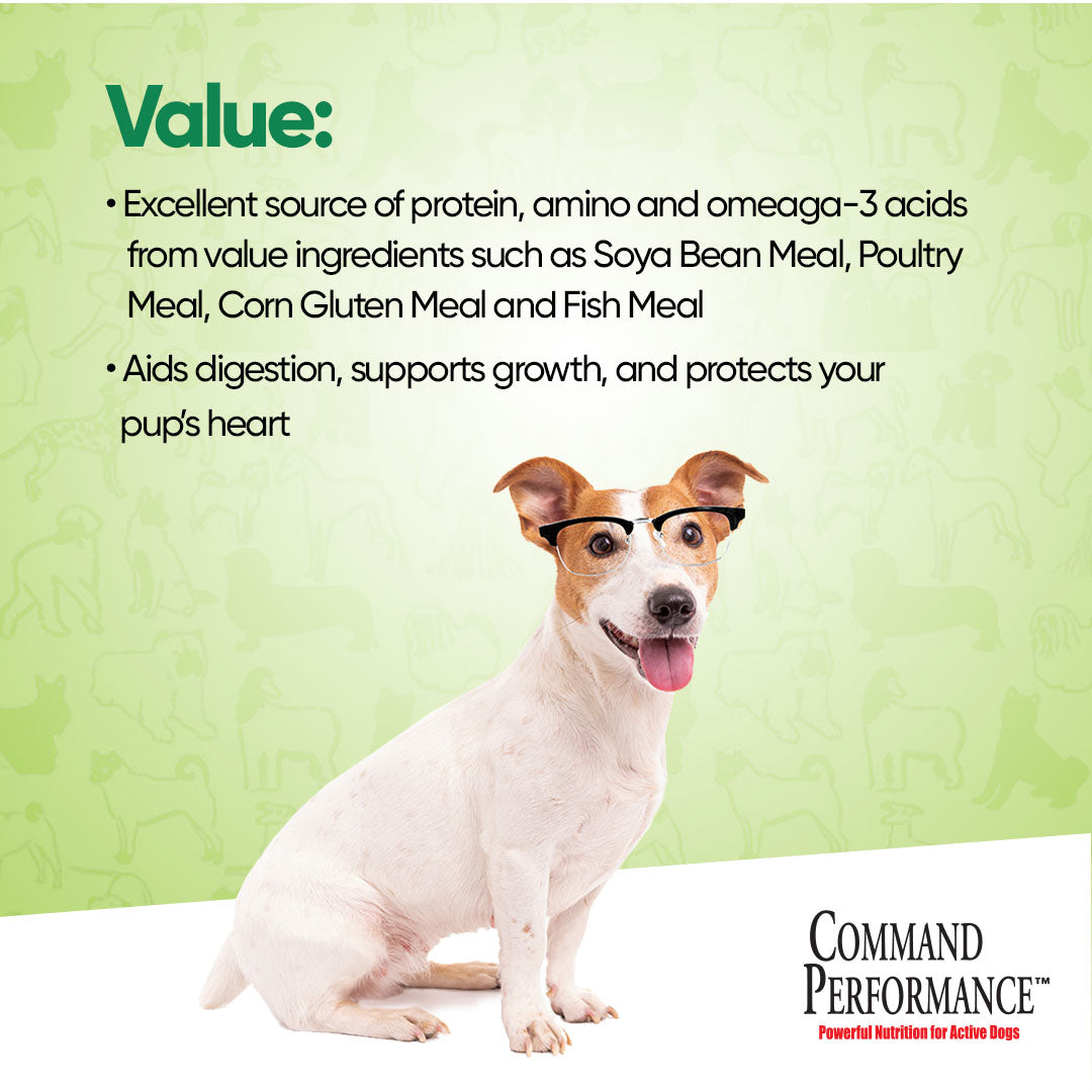 COMMAND PERFORMANCE DRY DOG FOOD 2KG - CPDF2 Pie's Variety Store