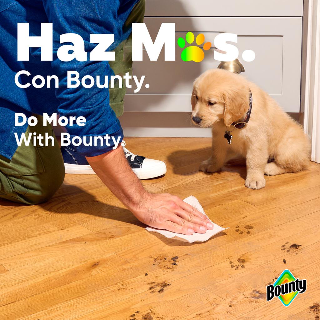 Bounty Kitchen Towels 12 Units / 82 Sheets-492838. Don't let spills and dirt get in your way. Stay confident with Bounty, the Quicker Picker Upper.-492838 EBUYSTT