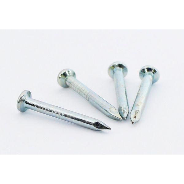 NAILS CONCRETE FLUTED SHANK FLAT HEAD-  1 Inches  X 2.8MM ebuystt