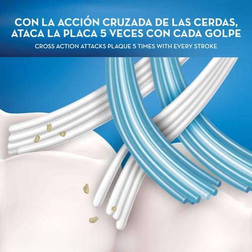 Oral B Toothbrushes Cross Action 8 Units-97983 ebuystt