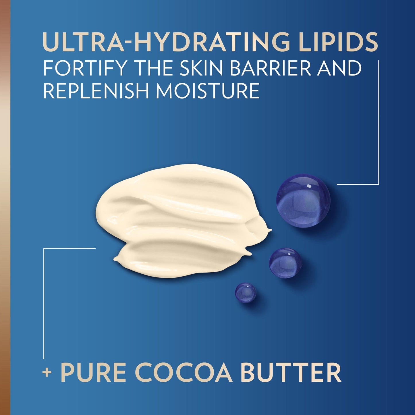 Vaseline Intensive Care Lotion Cocoa Radiant 20.3 Ounce Pump (600ml) - 30521013442 Pie's Variety Store