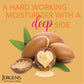 Jergens Daily Moisture Lotion for Dry Skin 21oz - 01910017555 Pie's Variety Store