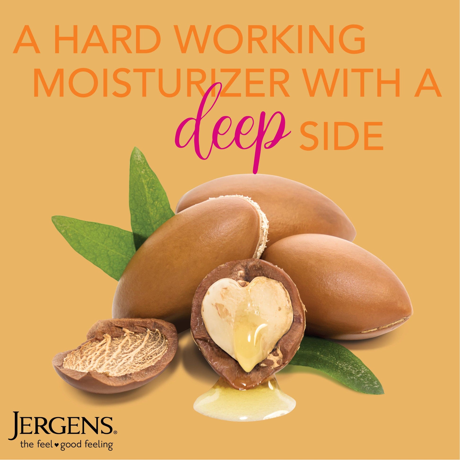 Jergens Daily Moisture Lotion for Dry Skin 21oz - 01910017555 Pie's Variety Store