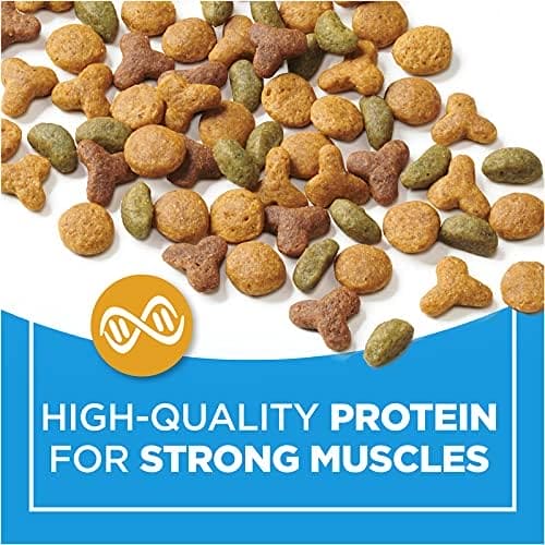PURINA CAT CHOW COMPLETE 1.42KG - PCCC Pie's Variety Store