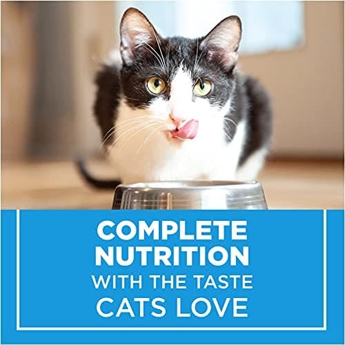 PURINA CAT CHOW COMPLETE 1.42KG - PCCC Pie's Variety Store