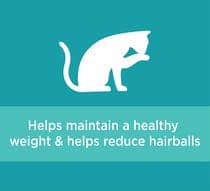 IAMS DRY CAT FOOD WITH CHICKEN & TURKEY HEALTHY ADULT 1.59KG - ICFWCNTHA Pie's Variety Store