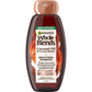 Garnier Conditioner Color Shield - 60308449142 Pie's Variety Store