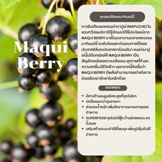 (Pack of 2) SUKKHAPHAPD Maqui Berry Powder 100 g. Generic
