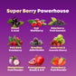 Organic Super Maqui Berry Capsules - Superfood Powder - Elderberry Extract, Cranberry, Pomegranate, Acai - Dry Eye & Tear Support, Gut Health, Skin - 60 Vegan Capsules, Non GMO, Gluten Free Supplement SOLNUVI