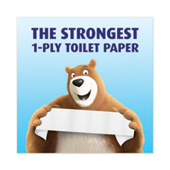 CHARMIN BATH TISSUE STRONG 9CT - CHBTS9CT Pie's Variety Store