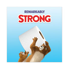 CHARMIN BATH TISSUE STRONG 9CT - CHBTS9CT Pie's Variety Store