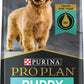 Purina Pro Plan Adult 7+Bright Mind Chicken & Rice Formula 16lbs - 03810017085 Pie's Variety Store