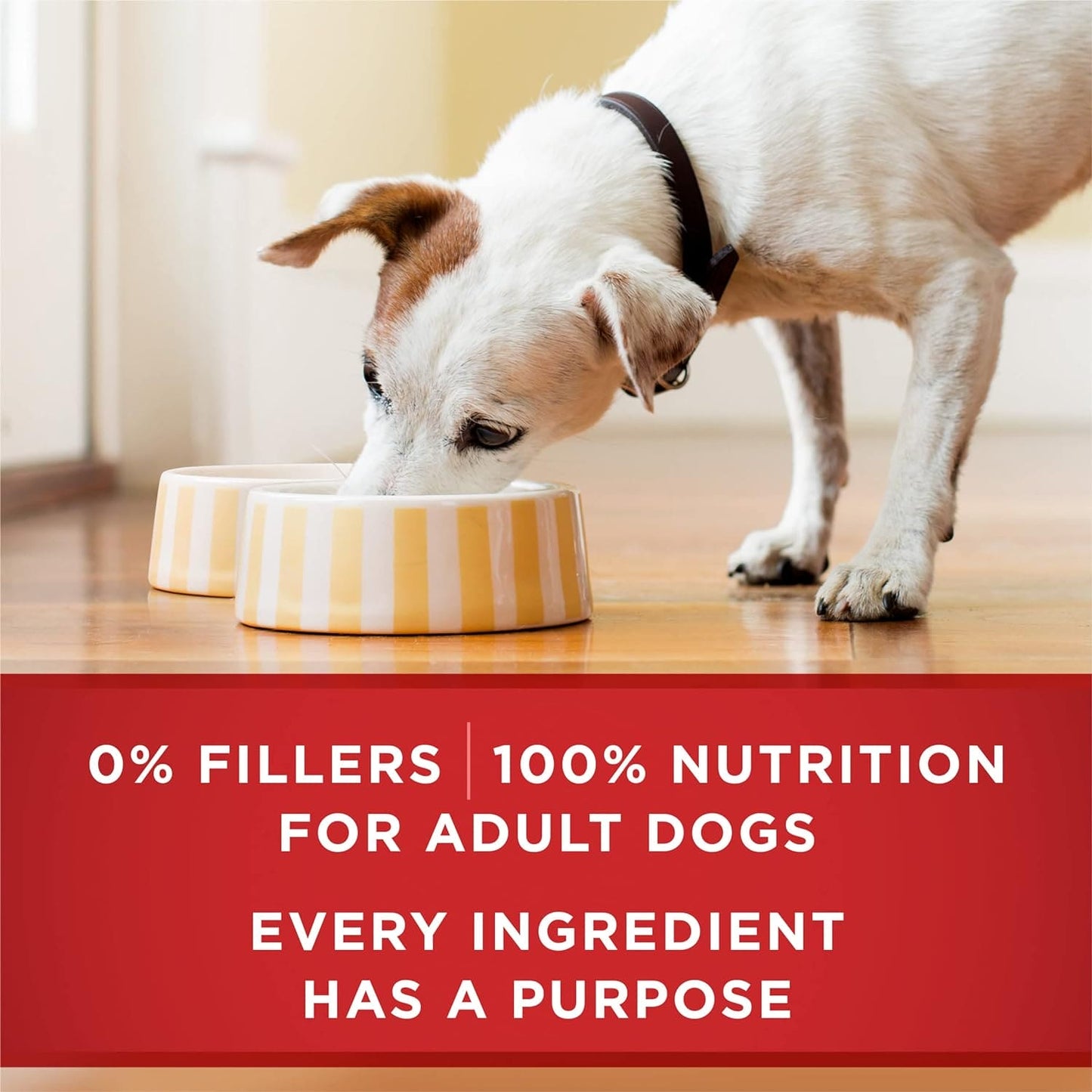 Purina ONE Beef And Barley Entrée, Tender Cuts In Gravy (13oz) - 01780014309 Pie's Variety Store