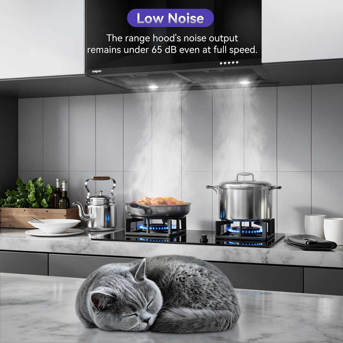 Magicin 30 Inch Wall Mount Range Hood 380 CFM Ducted/Ductless Convertible magicin