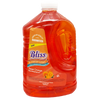 Bliss All Purpose Cleaner -1 Gal