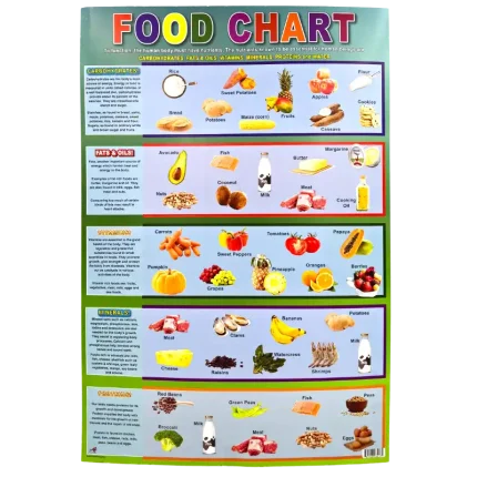 LEARNING CHARTS, EDUCATIONAL CHARTS WITH A VARIETY OF TOPICS AND VIBRANT COLOURS - 80396803438 Pie's Variety Store