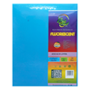 BriCha Bristol Board 180 GSM, Blue (25 Sheets) - 810626012383