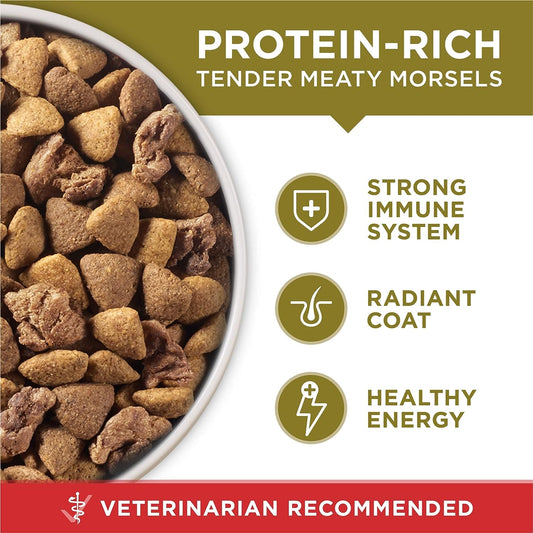 PURINA ONE ADULT DRY DOG FOOD LAMB AND RICE 4LB - POALNR Pie's Variety Store