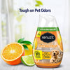 Renuzit Adjustable Air Freshener Gel, Citrus Sunburst, 7 Ounces - 2340035000