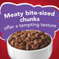 Purina Friskies Meaty Bits Beef With Gravy Cat Food 5.5oz - 05000042314 Pie's Variety Store