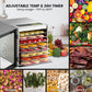 Cercker Food-Dehydrator Machine 8 Stainless Steel Trays, 500W Jerky Dehydrator for Meat, 190ºF Mushroom Dryer, 24H Timer Fruits Dryer for Herbs, Veggies, Yogurt & Dog Treats Cercker