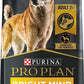 Purina Pro Plan Adult 7+Bright Mind Chicken & Rice Formula 16lbs - 03810017085 Pie's Variety Store