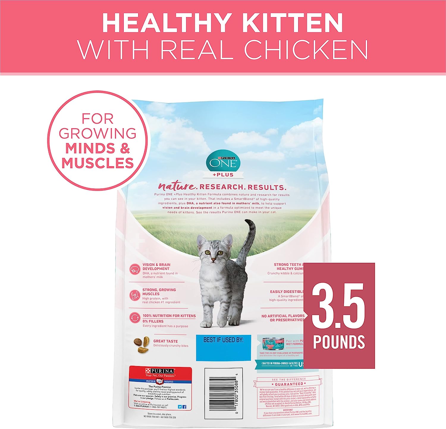 Purina ONE Healthy Kitten Dry Cat Food 3.5lb - 01780035088 Pie's Variety Store