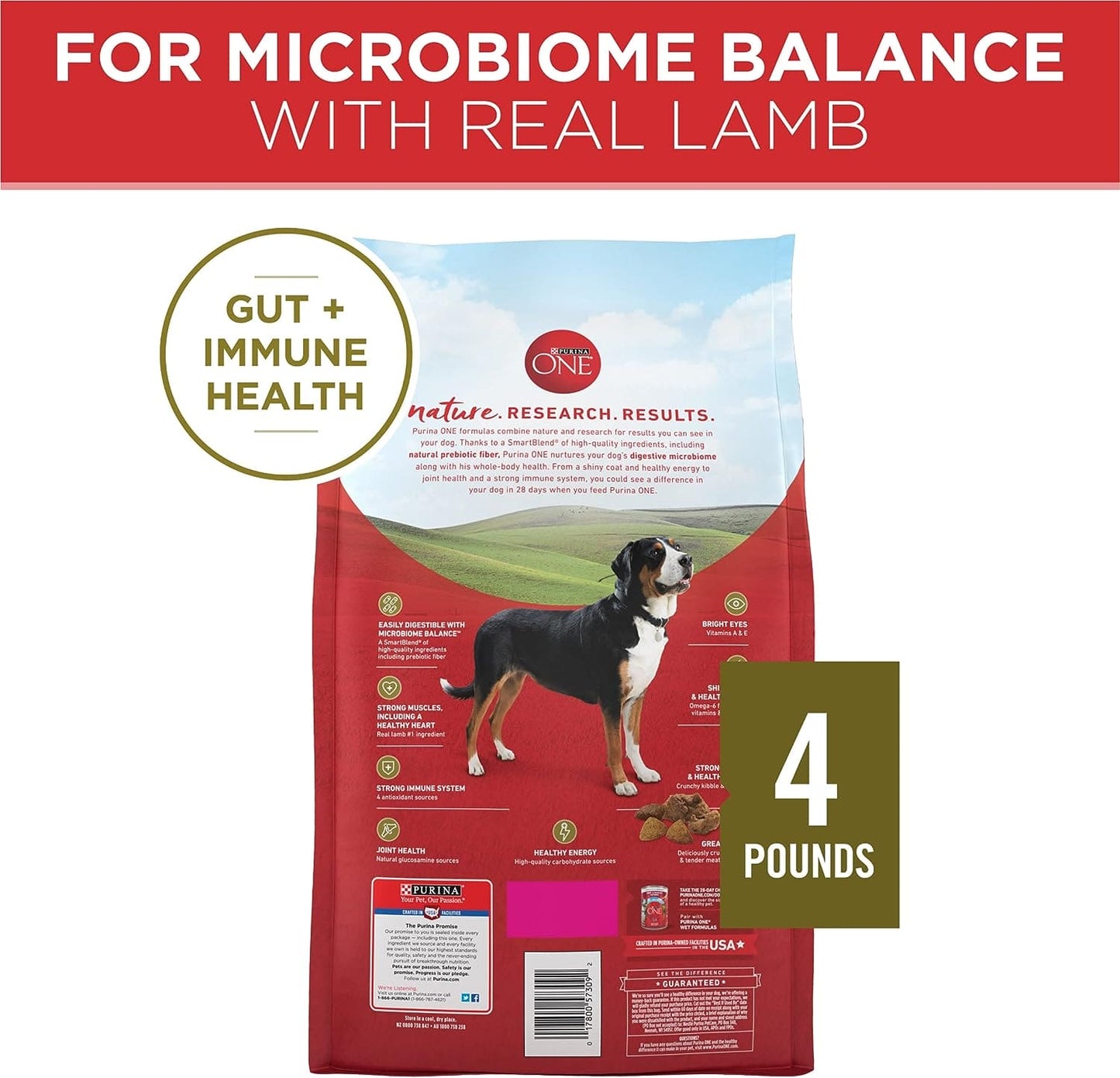 PURINA ONE ADULT DRY DOG FOOD LAMB AND RICE 4LB - POALNR Pie's Variety Store