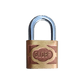 GLOBE BRASS PADLOCK - 1719 MEGA