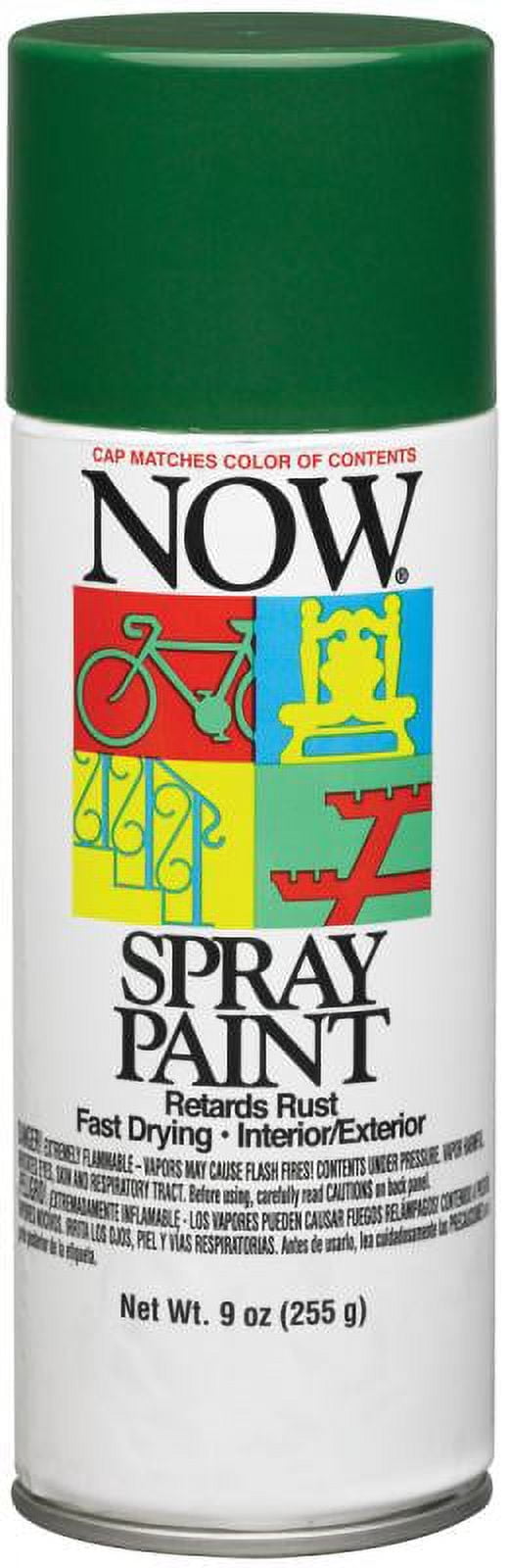 Now Fast Dry Lead-Free Enamel Spray Paint, 9 Ounce - Gloss Black ebuystt