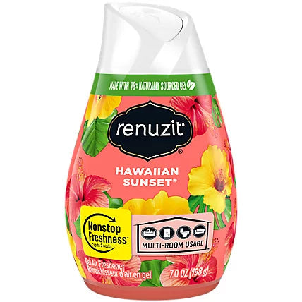 RENUZIT ADJUSTABLES AIR FRESHENER AFTER THE RAIN SOLID 7.5OZ - RAAFATRS75 Pie's Variety Store