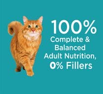 IAMS DRY CAT FOOD WITH CHICKEN & TURKEY HEALTHY ADULT 1.59KG - ICFWCNTHA Pie's Variety Store