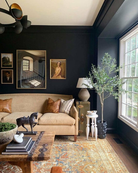 TLA Bituminous Black Paint is both non-toxic and asbestos-free and is a proven assistant in many household maintenance tasks EBUYSTT