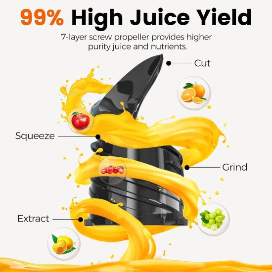 Cold Press Juicer,Slow Masticating Juicer-AMZ-215 ebuystt