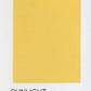 Kaleidoscope Paints Supreme Long Lasting Emulsion for Interior Brick, Concrete and Cement Plastered Walls or Ceiling (Various Colors) - D203-STD-010-004L MEGA