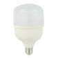 CTI Lighting 20 W LED BULB- CTIT8020W - T80-6500K-E27 ebuystt