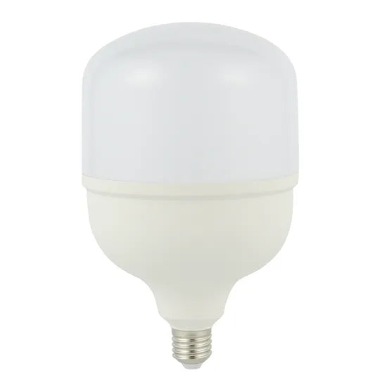 CTI Lighting 20 W LED BULB- CTIT8020W - T80-6500K-E27 ebuystt