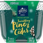 Glade Candle Exotic Tropical Blossoms, Fragrance Candle Infused with Essential Oils, Air Freshener Candle, 3-Wick Candle, 6.8 Oz - GCETBAF68 Pie's Variety Store