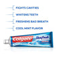 Colgate Max Fresh Toothpaste with Mini Fresh Mint Breath Strips 5 Units / 178 g - 480102 ebuystt