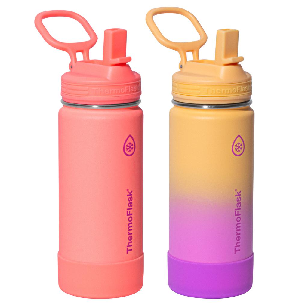 ThermoFlask Stainless Steel Insulated Bottle 2 Units / 473.18 mL / 16 oz - 492769-0885395103037 ebuystt