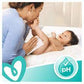 Pampers Fresh Clean Baby Wipes (52 Wipes) - 8001841041360 Pie's Variety Store